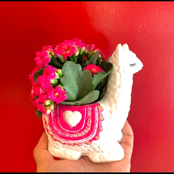 Hand Crafted Other - Sitting Llama with Kalanchoe plant